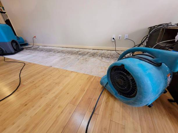 Professional Sewage Cleanup technician working in Perryville, MO